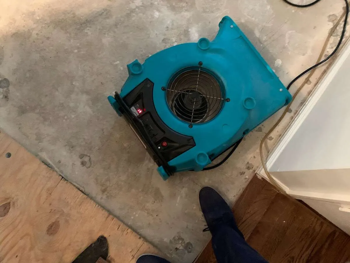 Air mover drying subfloor during Leak Detection & Repair in Sunbury